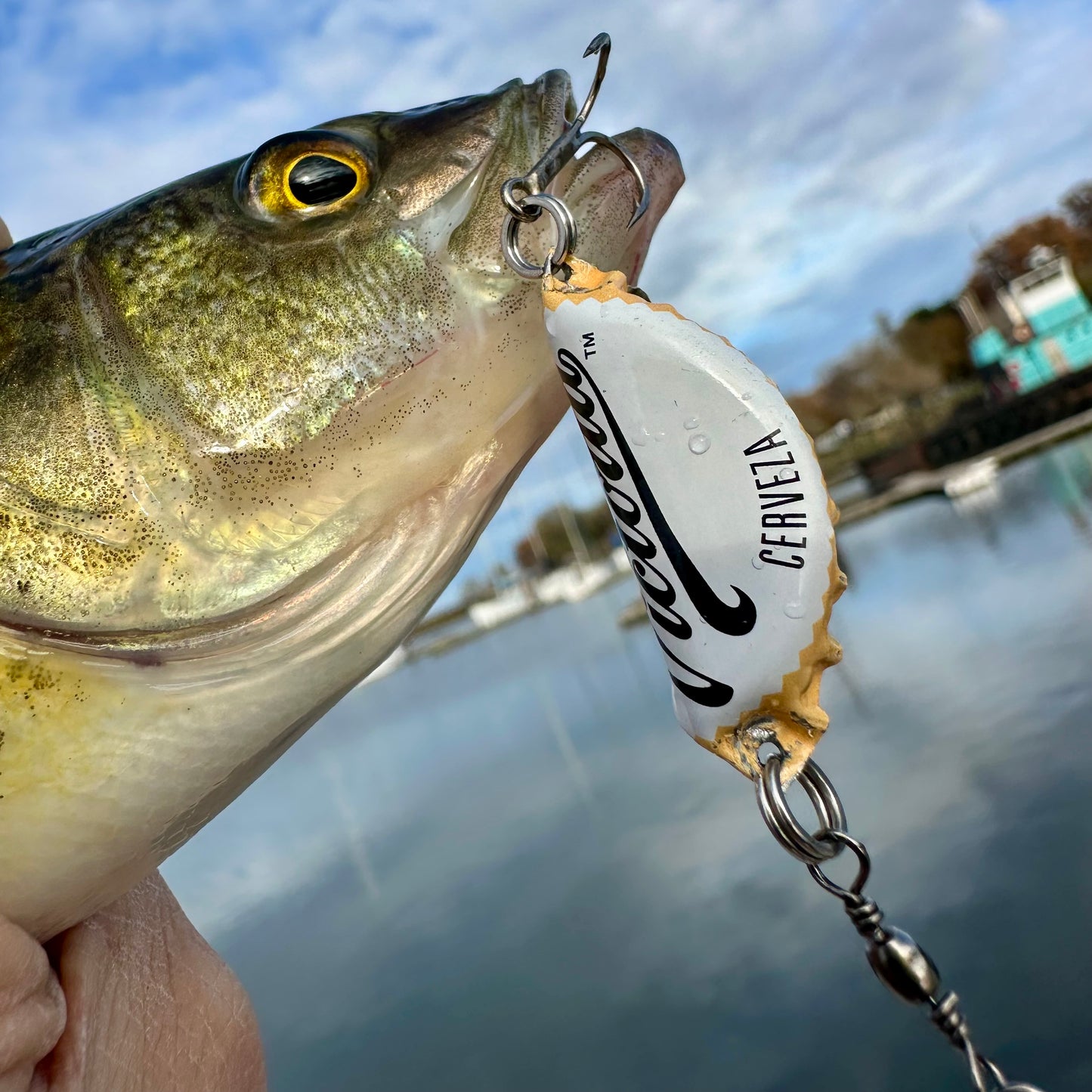 Cerveza Victoria Beer Bottle Cap Lure