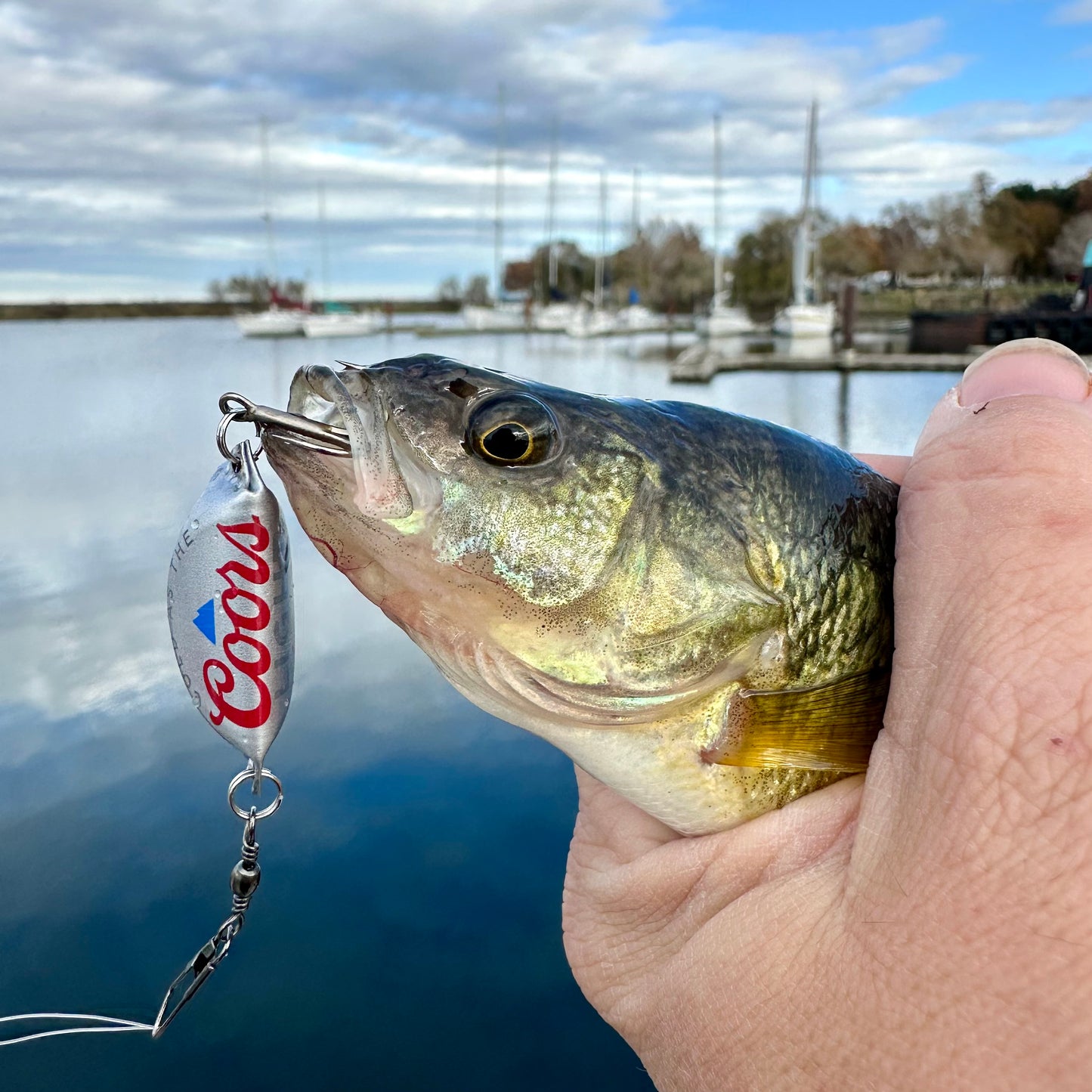 Coors Light Beer Bottle Cap Lure