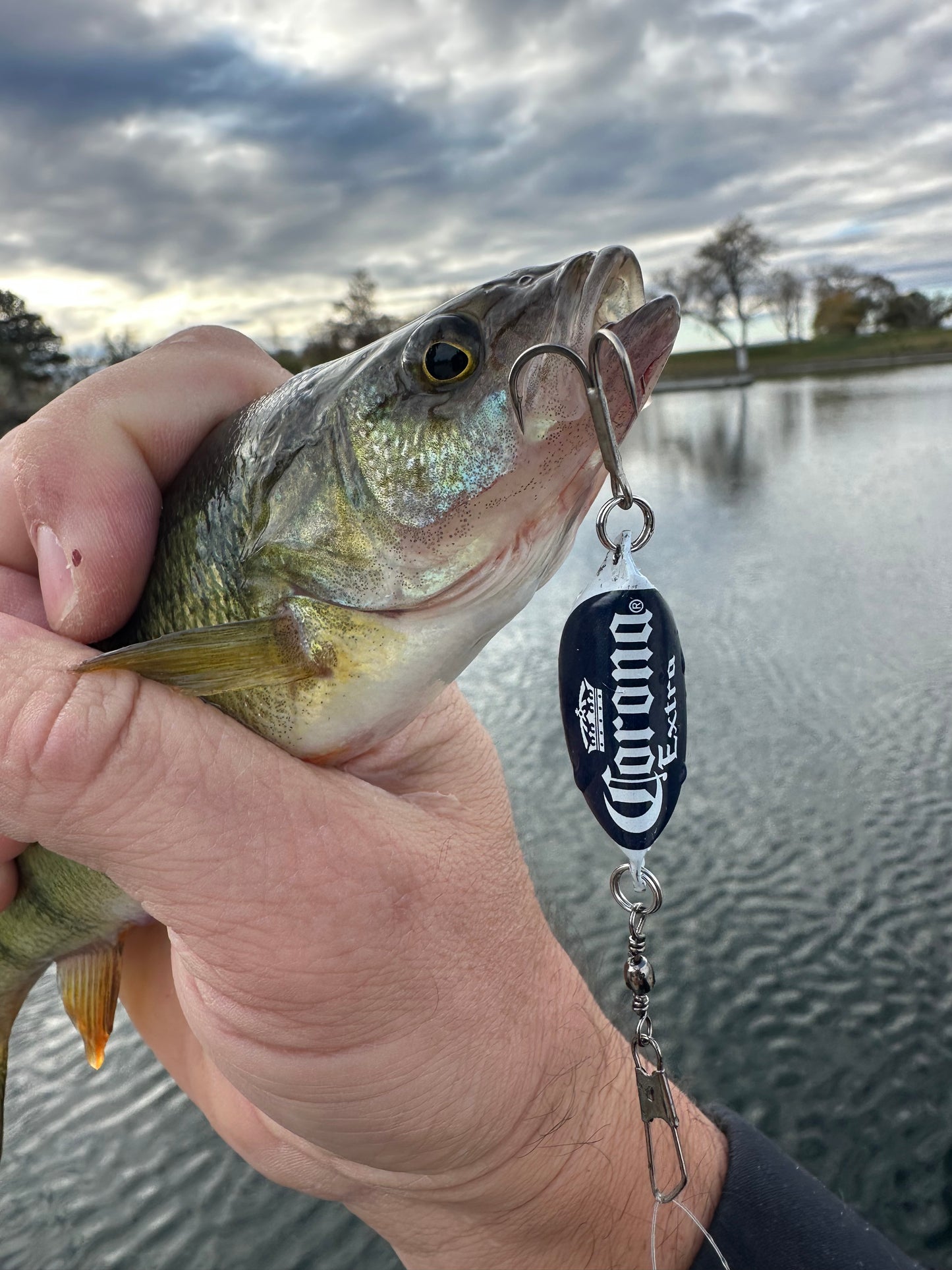 Corona Extra Beer Bottle Cap Lure